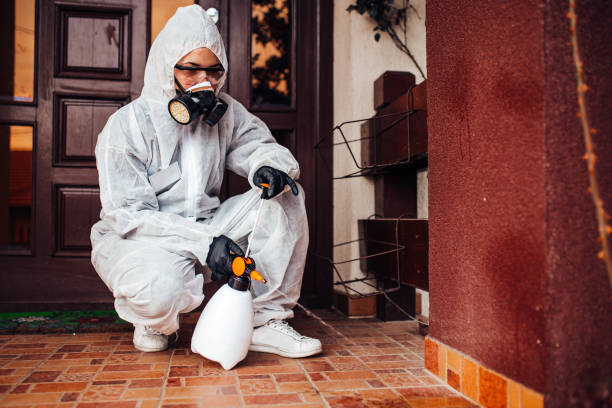 Reliable Mosquito Control contractor in Leisure City, FL by Show Me Pest Control